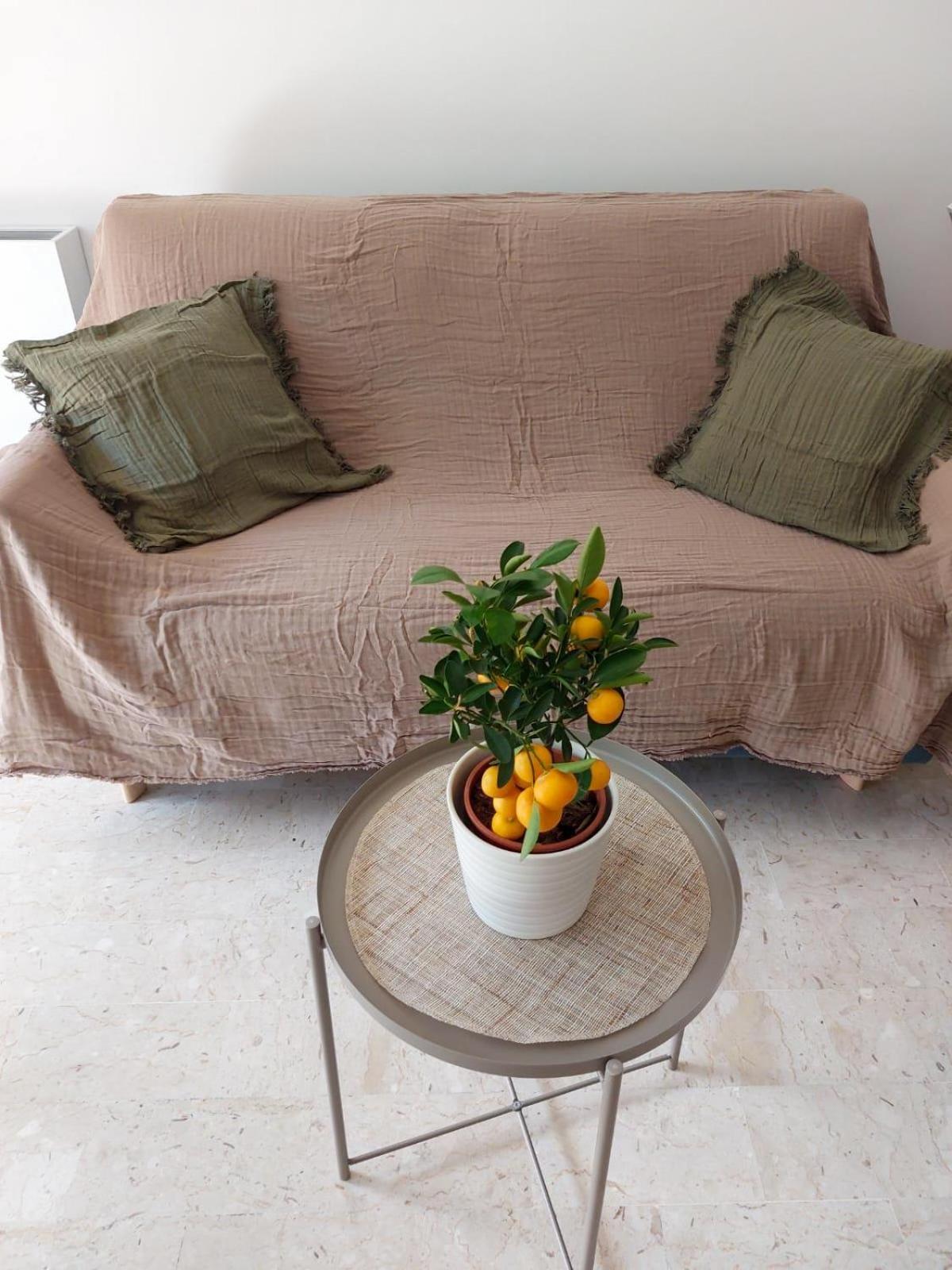 Appartement 2P Renove Avec Terrasse Au Port De นีซ ภายนอก รูปภาพ